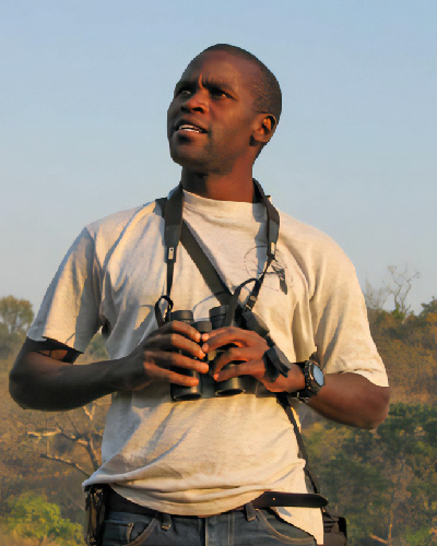 Hamlet Mugabe is the Birding Safari Expert. He is trained from Mweka Wildlife College in Tanzania, and Cornell Lab of Ornithology; Cornell University, Sierra-Nevada Field Campus